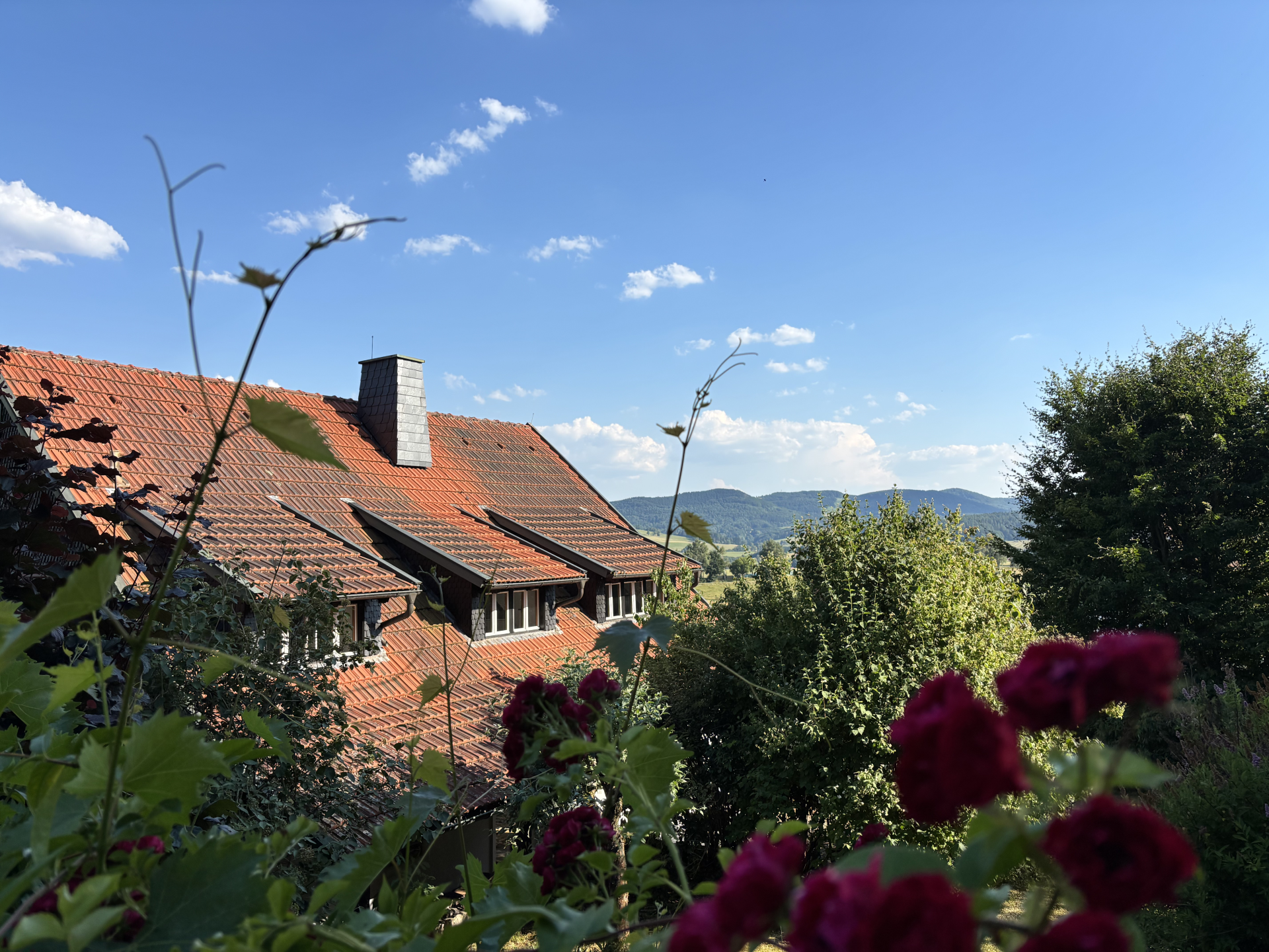 RHÖNMANTISCH